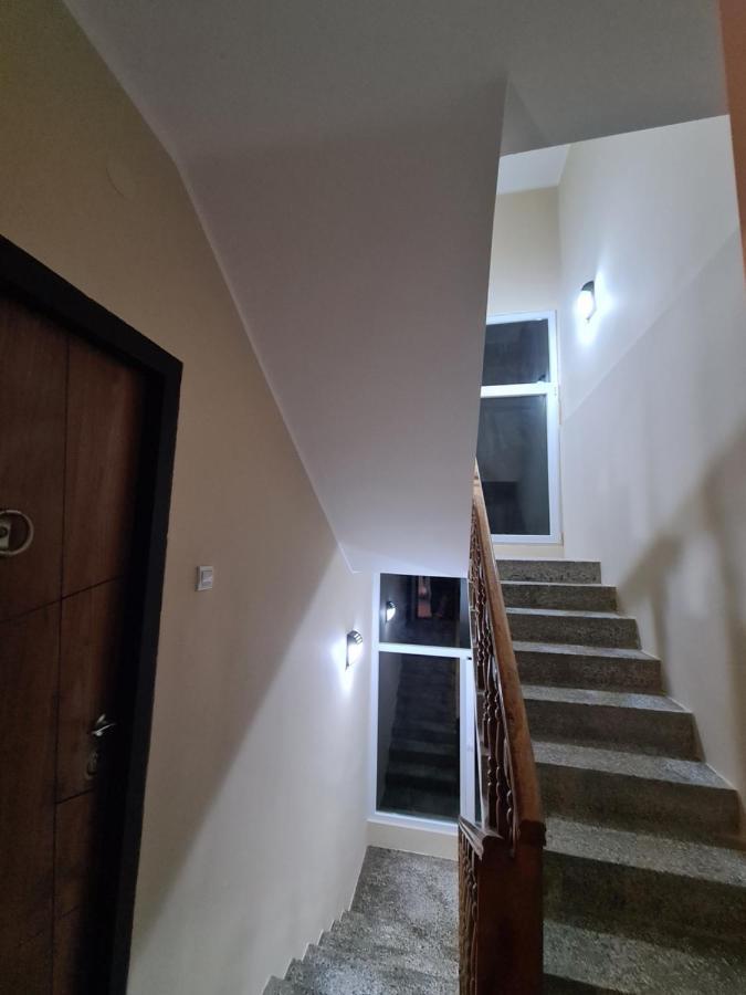 Grey & Sunny Apartments Zajecar Exterior photo