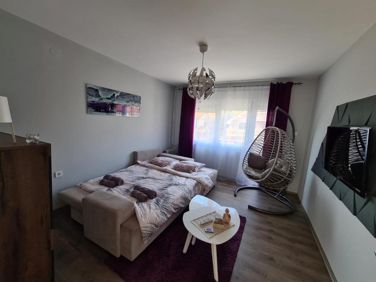 Grey & Sunny Apartments Zajecar Exterior photo